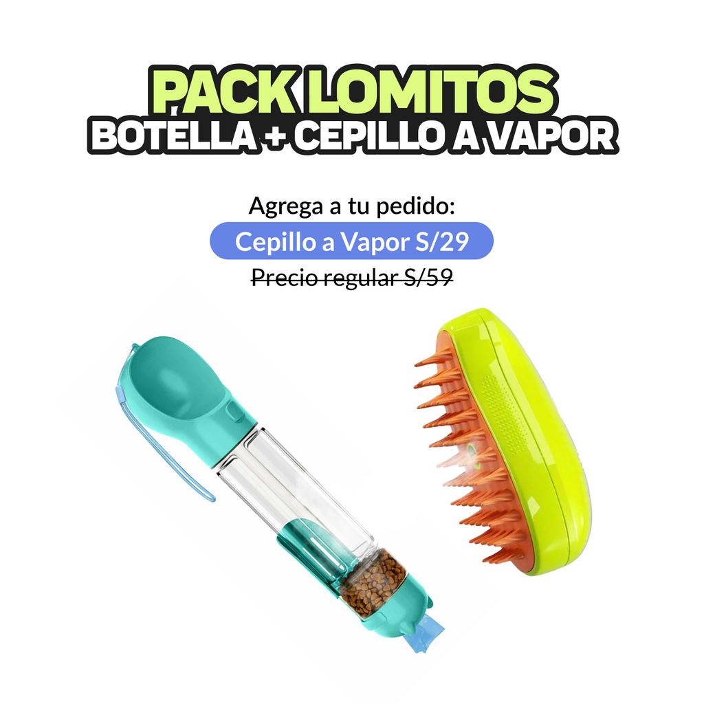 Cepillo a Vapor